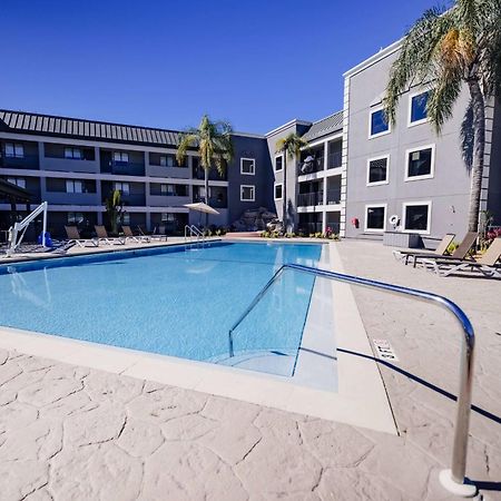 La Quinta Inn By Wyndham Tampa Near Busch Gardens Zewnętrze zdjęcie