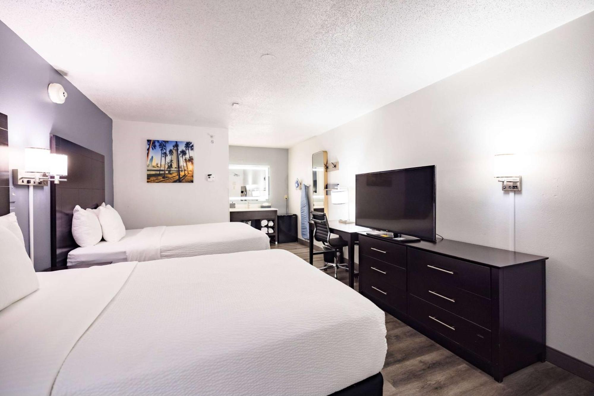 La Quinta Inn By Wyndham Tampa Near Busch Gardens Zewnętrze zdjęcie