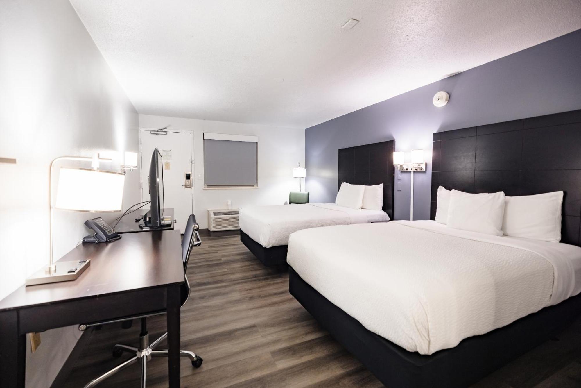 La Quinta Inn By Wyndham Tampa Near Busch Gardens Zewnętrze zdjęcie